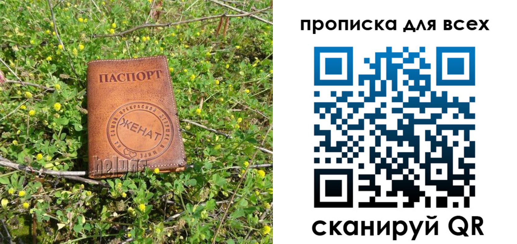 прописка поиск в Сясьстрое